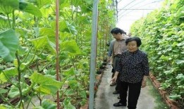 知乎爆料娱乐圈女顶流,揭秘她的辉煌与争议