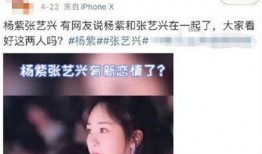 爆料董先生杨紫视频,甜蜜瞬间引网友热议