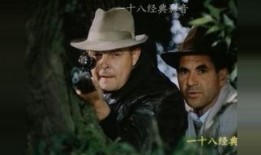 谍战剧大全在线观看,揭秘谍战剧大全在线观看的精彩世界