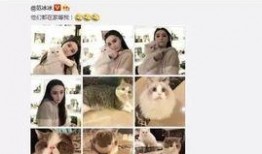 内娱今日爆料微博最新消息,最新热点事件揭秘，明星动态一网打尽！