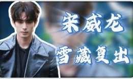 刘宇宁爆料辟谣视频,揭秘真相背后的网络谣言