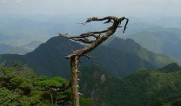 三清山旅游爆料事件最新,揭秘景区背后的真实故事与争议