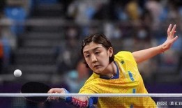 成都混团王楚钦陈梦最新爆料