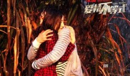 爱情不等式在线观看,揭秘现代情感世界的复杂方程