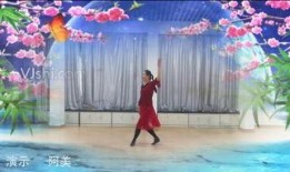 在线观看独舞,探寻舞者灵魂深处的孤独与自由