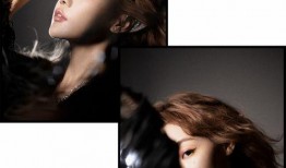 明星被拍视频爆料怎么办,巧妙应对策略全解析