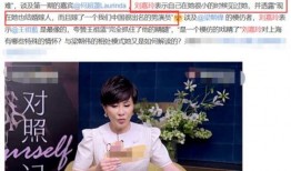 娱乐明星实锤爆料小说,明星实锤爆料背后的秘密