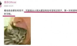 真情实感吃瓜视频下载免费,免费下载吃瓜视频，畅享娱乐盛宴