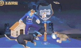 大乔猫狗爆料视频大全集,揭秘视频大全集精彩瞬间