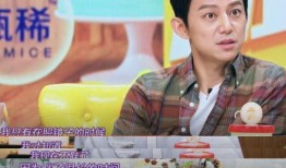 鲁豫爆料吴刚岳秀清视频,娱乐圈再掀波澜