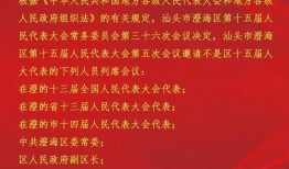 今日澄海新闻爆料,聚焦民生热点，揭示社会现象