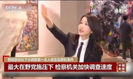 尹锡悦老婆爆料视频,揭秘韩国总统夫妇的私生活