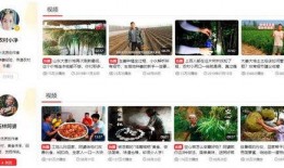 今日三农爆料视频,视频爆料揭示农业发展新动向