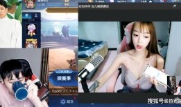 爆料二姐视频下载安装免费,免费安装，轻松获取热门内容