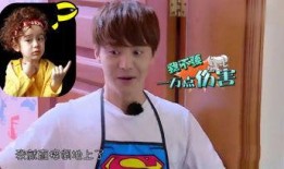 吃瓜娱乐酱柯基,揭秘娱乐圈幕后趣事