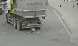 交通爆料视频大车着火,紧急救援行动展开