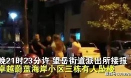 长沙王小姐爆料事件视频,揭秘背后惊人真相