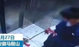 辽宁沈阳男孩爆料视频,揭秘校园生活背后真相