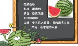 吃瓜小铺小说免费阅读,揭秘娱乐圈背后的秘密