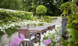 家庭花园爆料视频在线,跟随视频探索绿色生活奥秘