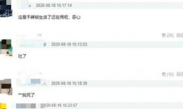 班长爆料陈赫视频大全最新,陈赫视频大全，笑料百出瞬间回顾