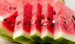 西瓜博物馆免费吃瓜,西瓜博物馆邀您体验瓜果盛宴