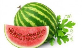 免费吃瓜网站柠檬,揭秘柠檬免费吃瓜网站的独特魅力