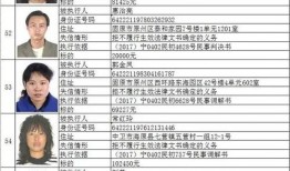 谭竹最新爆料人员名单,揭秘神秘人员名单背后的惊人真相！”