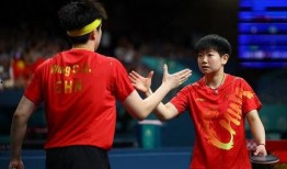 成都混团王楚钦陈梦最新爆料