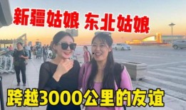 新疆网红爆料视频大全最新,揭秘网络红人背后的故事与真相