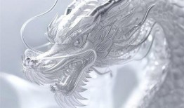 红魔9pro龙年限定版最新爆料,神秘龙韵，科技与艺术的完美融合