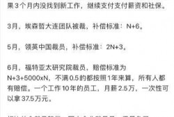 最新职场爆料,最新爆料揭示行业秘密与职场真相