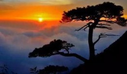 三清山旅游爆料事件最新,揭秘景区背后的真实故事与争议