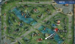 纳西坦最新爆料,揭秘娱乐圈惊人内幕