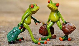 新闻爆料青蛙相残,同类相食现象引发关注