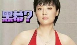 袁立最新爆料演员是谁啊,揭秘涉事演员身份之谜