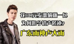 爆料广东雨神视频,一场视觉与听觉的盛宴