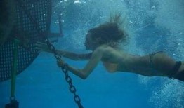 电影鲨滩土豆在线观看,惊险求生，海洋深处的生死较量