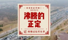 正定疫情最新爆料,追踪病毒变异与防控措施升级