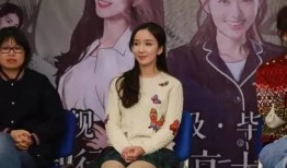 明星被拍视频爆料怎么办,巧妙应对策略全解析