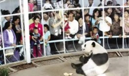 天津动物园爆料视频网站,精彩瞬间直击动物世界