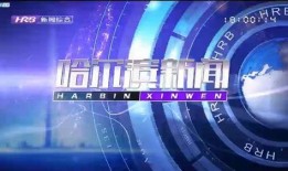 哈尔滨爆料最近新闻,聚焦城市动态与民生热点