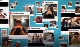 海底捞营销爆料流程视频,视频曝光背后的秘密