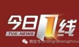 湛江爆料今日一线新闻,今日一线聚焦民生热点事件