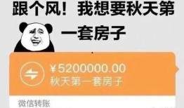 奶茶爆料采访视频文案范文,揭秘网红奶茶背后的真实故事