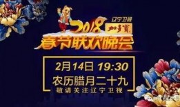 卫视转播春晚爆料视频,精彩瞬间抢先看