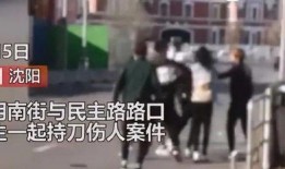 辽宁沈阳男孩爆料视频,揭秘校园生活背后真相