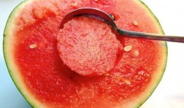 西瓜博物馆免费吃瓜,西瓜博物馆邀您体验瓜果盛宴