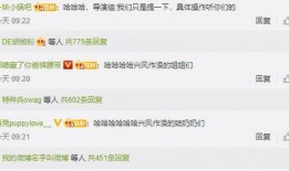 娱乐圈吃瓜爆料文本,揭秘明星背后的秘密与争议