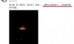 真情实感吃瓜视频下载免费,免费下载吃瓜视频，畅享娱乐盛宴